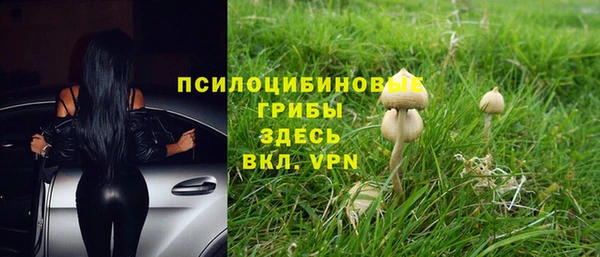 сатива Абинск