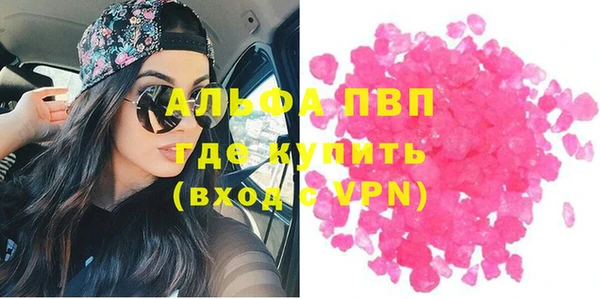 стаф Новокубанск