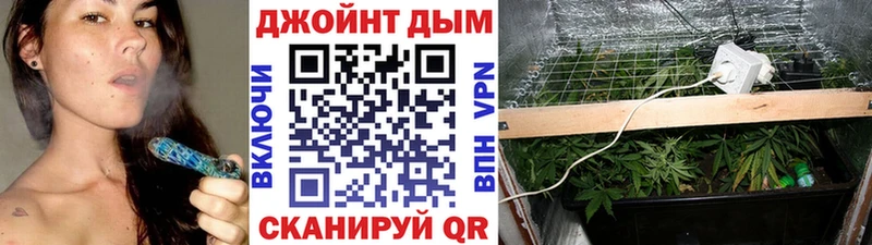 Бошки марихуана OG Kush Армянск